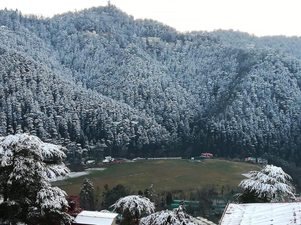 Bed and Breakfast Apple House à Shimla Extérieur photo